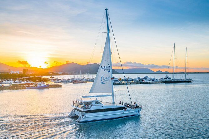 Small-Group Afternoon Cairns City Tour with Harbour Dinner Cruise - A detailed look at the tour experience