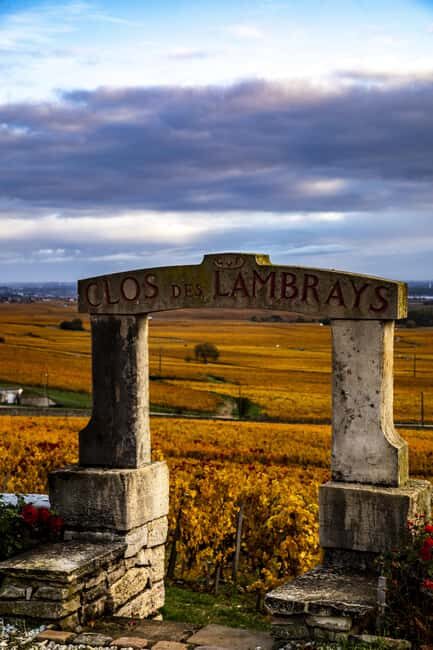 Small group Afternoon in Côte de Nuits - A Closer Look at the Experience