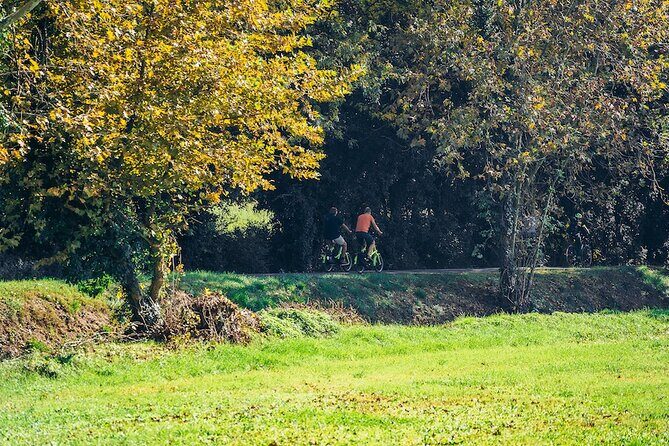 Small-group Amarone Wine e-Bike Tour from Verona - Key Points