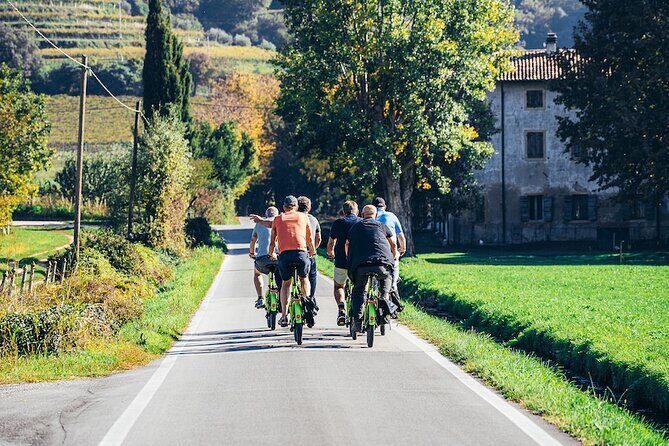 Small-group Amarone Wine e-Bike Tour from Verona - Considerations and Potential Drawbacks
