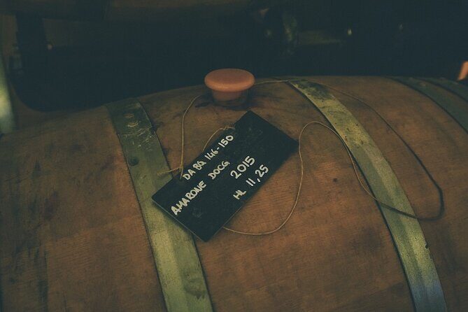 Small-group Amarone Wine e-Bike Tour from Verona - The Sum Up