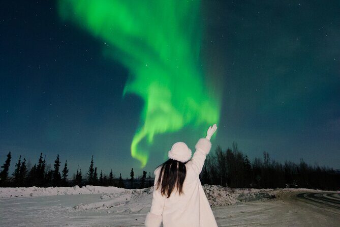 Small Group Aurora Chasing Tour - An In-Depth Look at the Aurora Chasing Experience