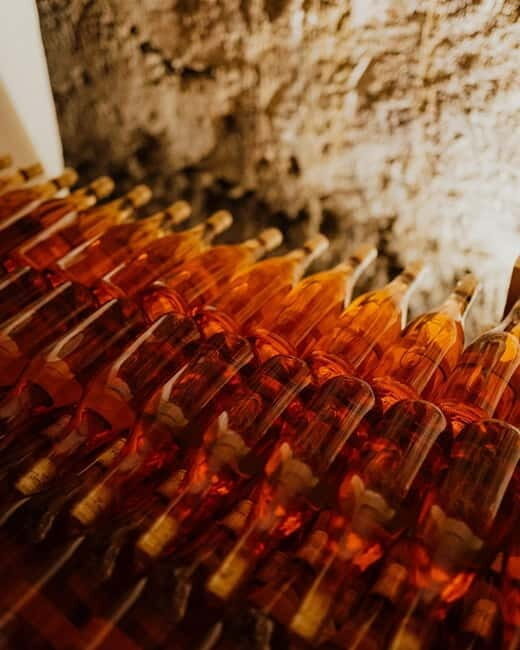 Small Group Balkans Tour; From Sarajevo to Tirana in 8 Days - Day 4: Montenegrin Riviera and Shkoder (Albania)