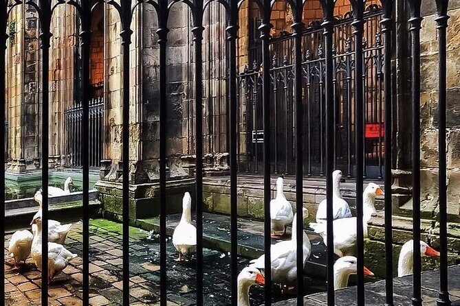 Small Group Barcelona Walking Tour, Flamenco Show & Tapas Dinner - Final Thoughts