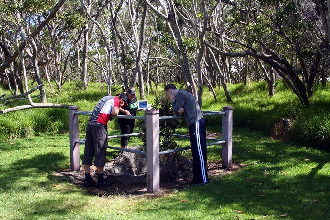 Small-Group Big Island Tour: Hawaii Volcanoes National Park and Kona Coffee Farm - Who Is This Tour Best For?