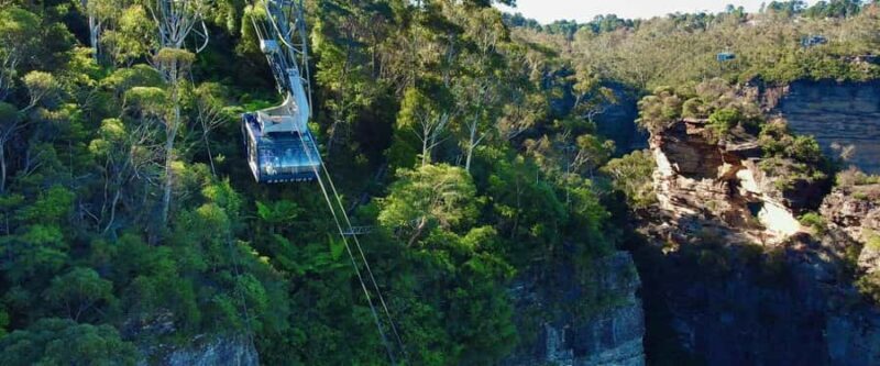 Small Group Blue Mountains, Wildlife & Scenic World Day Tour - The Practical Side