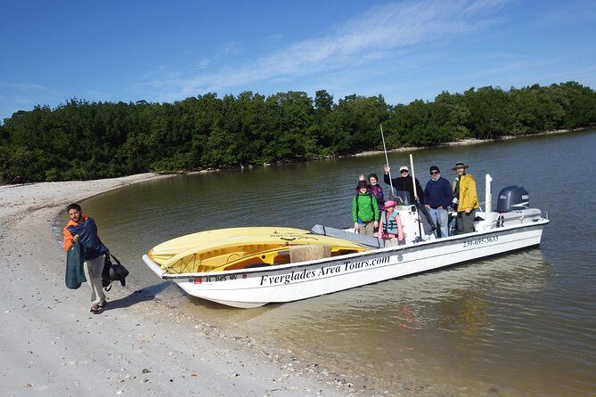 Small Group Boat, Kayak and Walking Guided Eco Tour Everglades - Who Is This Tour Best For?