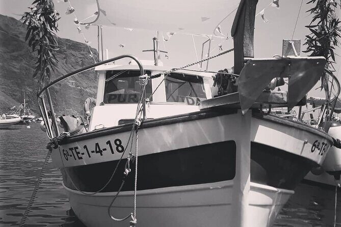 Small Group Boat Whale and Dolphin Watching Tour - Key Points