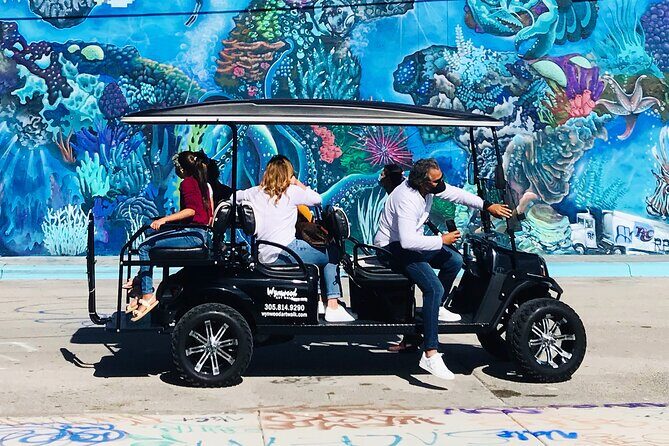 Small-Group Brewery Golf Cart Tour of Wynwood with a Local Guide - What to Expect from the Experience