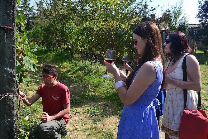 Small-Group Brunello Wine Tour of Montalcino from Florence - A Closer Look at the Itinerary and Experience