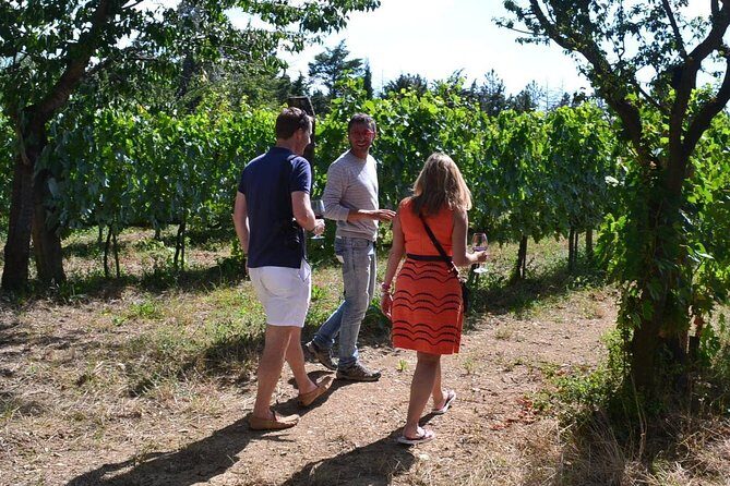 Small-Group Brunello Wine Tour of Montalcino from Florence - Final Thoughts