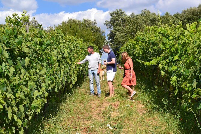 Small-Group Brunello Wine Tour of Montalcino from Florence - FAQ