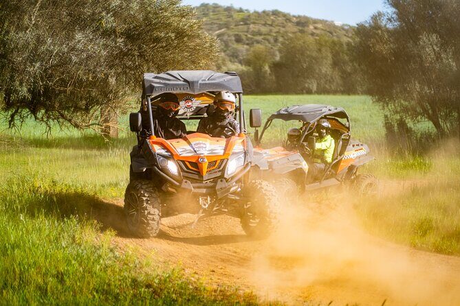 Small-Group Buggy Riding Safari in Algarve - What You Can Expect from the Tour