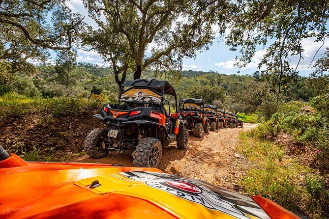 Small-Group Buggy Riding Safari in Algarve - Who Should Consider This Tour