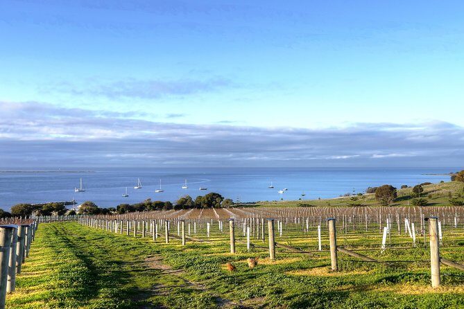 Small-Group Buggy Tour at Little Sahara with Guide - The Sum Up