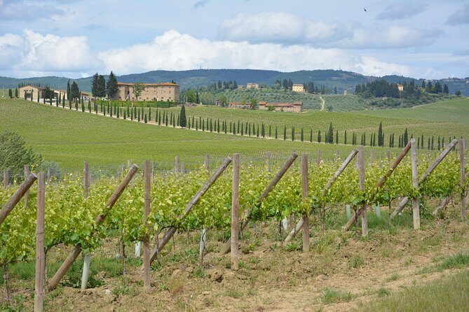 SMALL GROUP Chianti 2 wineries & lunch (max 8 people) - FAQs