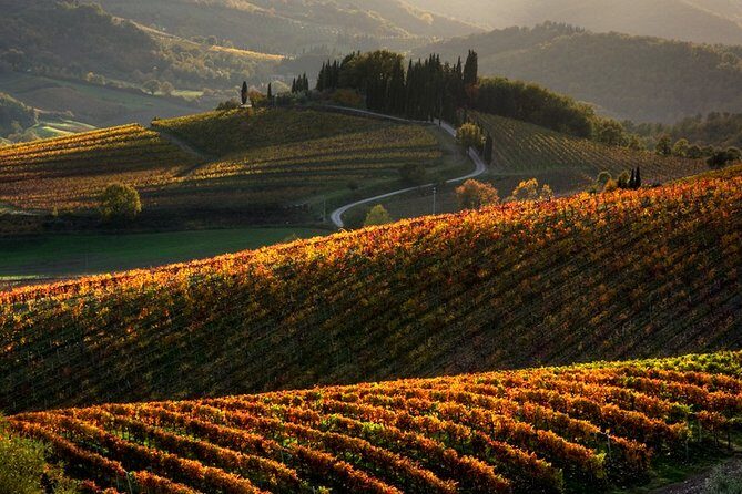 Small-Group Chianti and San Gimignano Sunset Trip from Siena - An In-Depth Look at the Experience