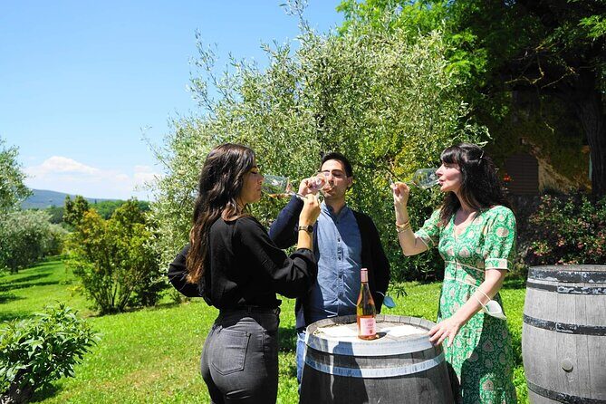 Small group Chianti, Montalcino & Monteriggioni castle from Siena - An Overview of What to Expect