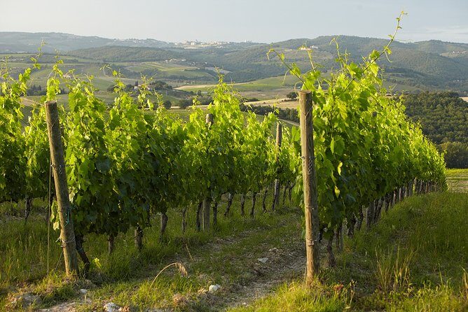 Small-Group Chianti Trip with Wine Tasting from Siena - The Value of the Experience
