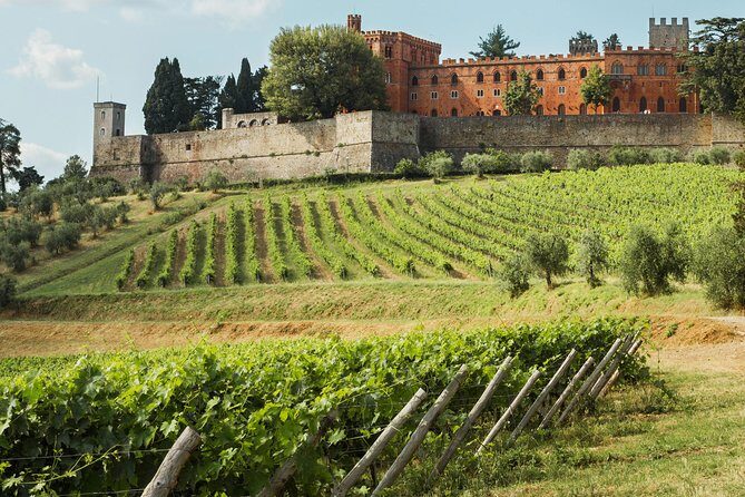 Small-Group Chianti Trip with Wine Tasting from Siena - Who Should Consider This Tour?