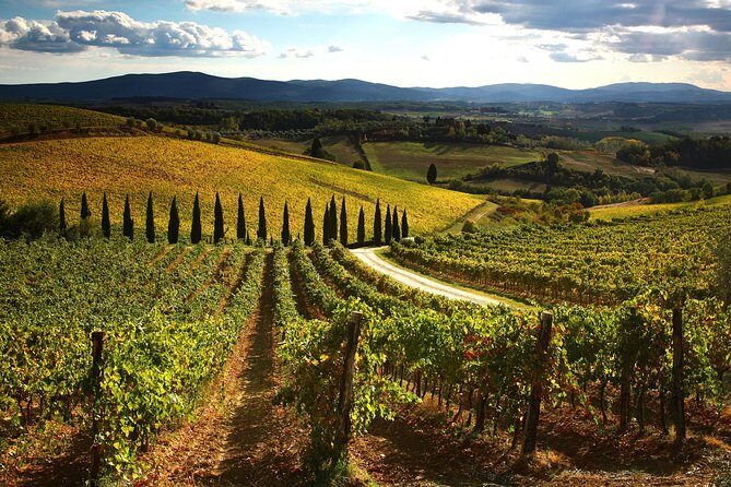 Small-Group Chianti Trip with Wine Tasting from Siena - Final Thoughts