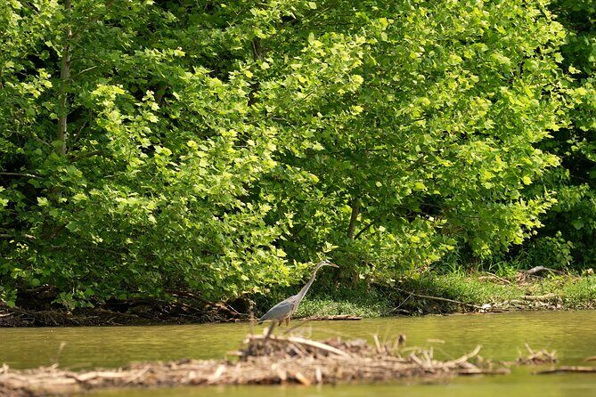 Small Group Clear Kayak Tour of Old Hickory Lake - The Sum Up