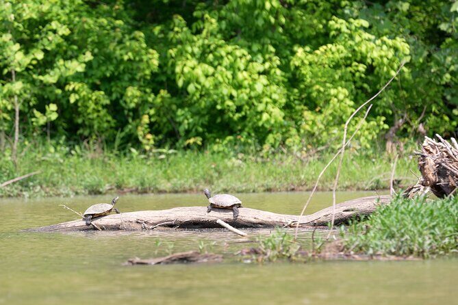 Small Group Clear Kayak Tour of Old Hickory Lake - FAQ