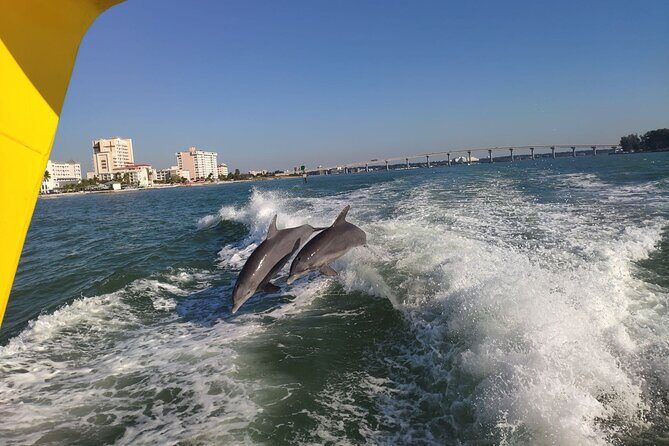 Small Group Clearwater Beach, Dolphin Watch Day Tour from Orlando - Who Should Consider This Tour?