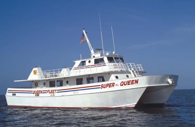 Small Group Clearwater Beach,Dolphin Watch Tour from Orlando - Exploring the Small Group Clearwater Beach & Dolphin Watch Tour from Orlando