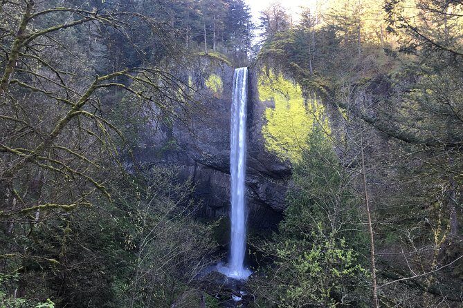 Small Group: Columbia River Gorge Waterfalls Tour from Portland - What to Expect from the Columbia River Gorge Waterfalls Tour