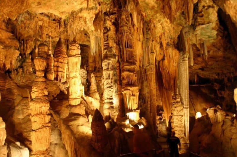 Small-Group D.C. Day Trip to Shenandoah Park & Luray Cavern - FAQ