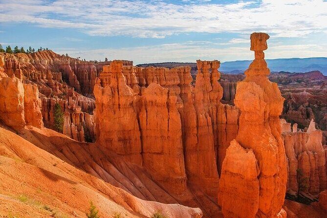 Small Group Day Tour To Explore Bryce Canyon & Zion National Park - Who Is This Tour Best For?