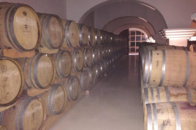 Small group Day Trip to Evora and Monsaraz from Lisbon with wine tasting - A Detailed Look at the Experience