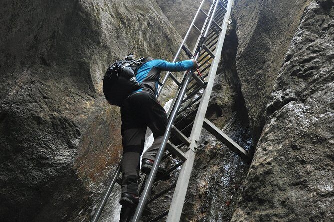 Small-Group Day Trip to the Epic 7 Ladders Canyon from Brasov - What’s This Tour All About?