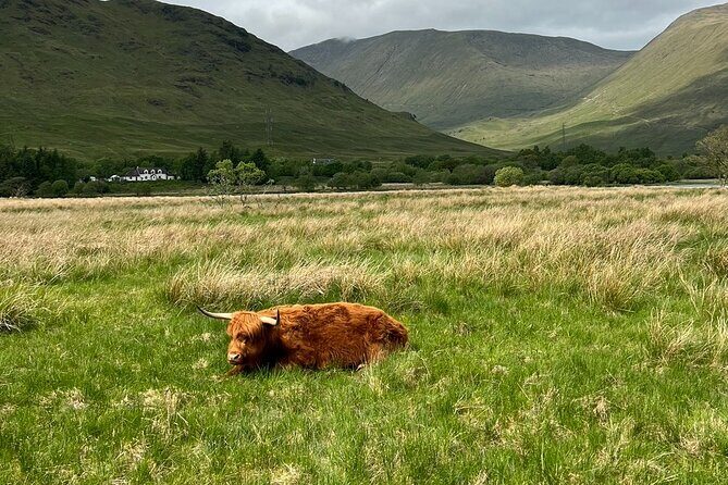 Small Group Day Trip to the Stunning Scottish Highlands & Glencoe - FAQ