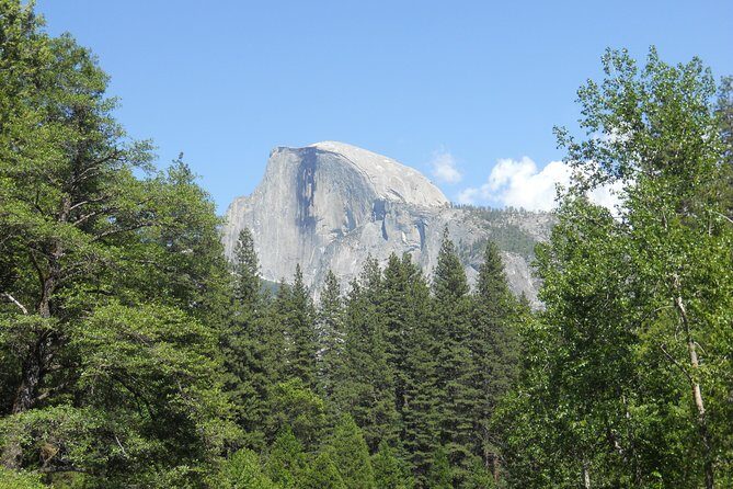 Small-Group Day Trip to Yosemite from Lake Tahoe - The Pros and Cons