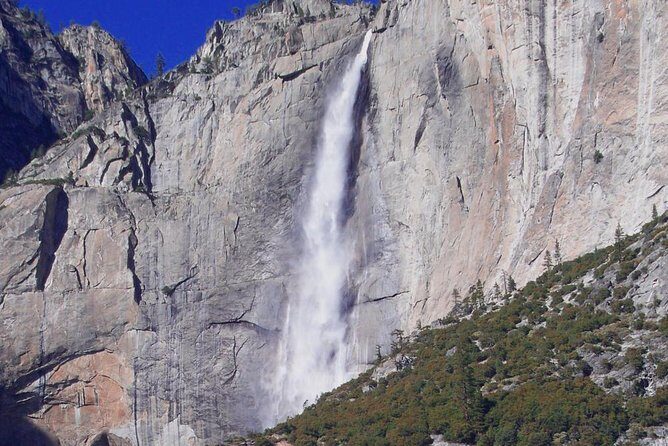 Small-Group Day Trip to Yosemite from Lake Tahoe - FAQs