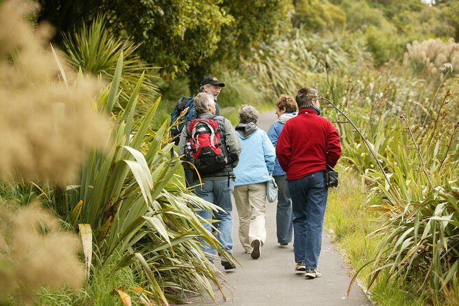 Small Group Daytime 2-Hour Eco Wildlife Tour at Zealandia - Accessibility and Practical Considerations