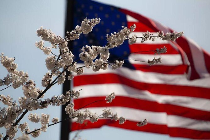 Small Group DC Tour by Van - Wrapping It Up