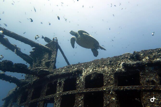 Small-Group Deep Dive in Oahu with Shipwreck and Reef - The Itinerary: What to Expect from This Deep Dive Adventure