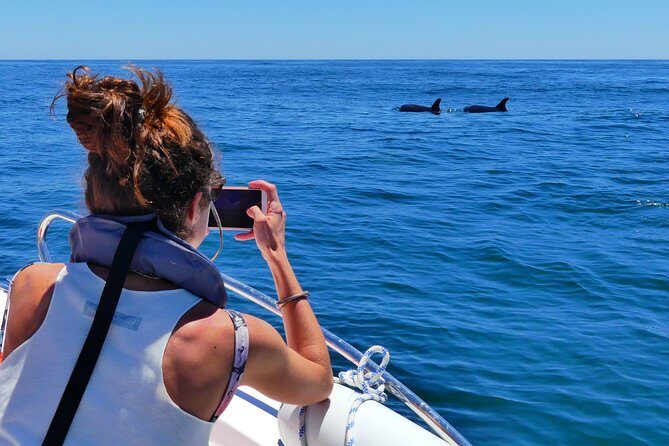 Small Group Dolphin and Wildlife Watching Tour in Faro - Who Will Love This Tour?