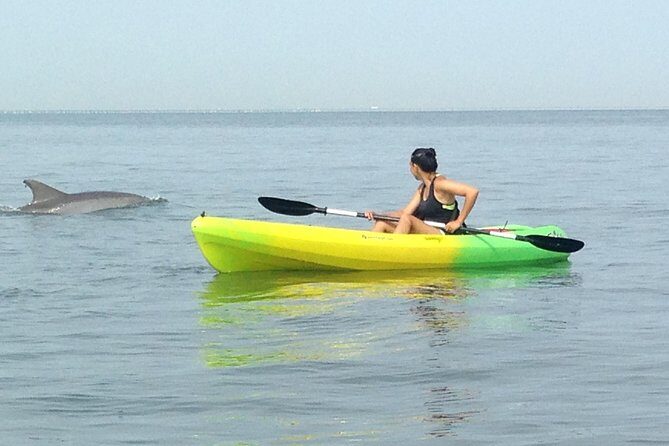 Small Group Dolphin Kayak Eco-Tour - Practical Details and Tips
