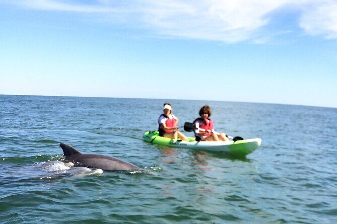 Small Group Dolphin Kayak Eco-Tour - FAQ