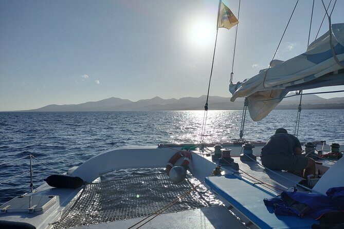 Small Group Dolphin Sunset Tour on Electric Catamaran Lanzarote - What to Expect on the Tour