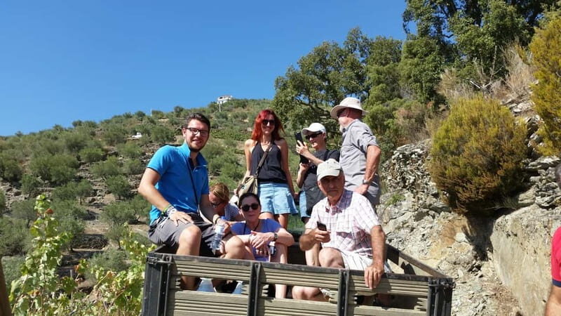 Small Group: Douro Valley Wine Tasting from Porto - Exploring the Douro Valley: What to Expect from the Tour