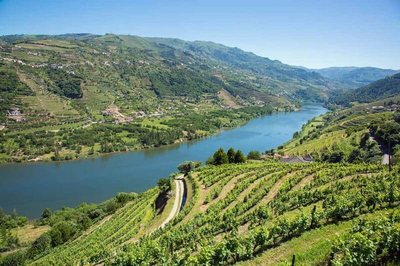 Small Group: Douro Valley Wine Tasting from Porto - The Price and Overall Value