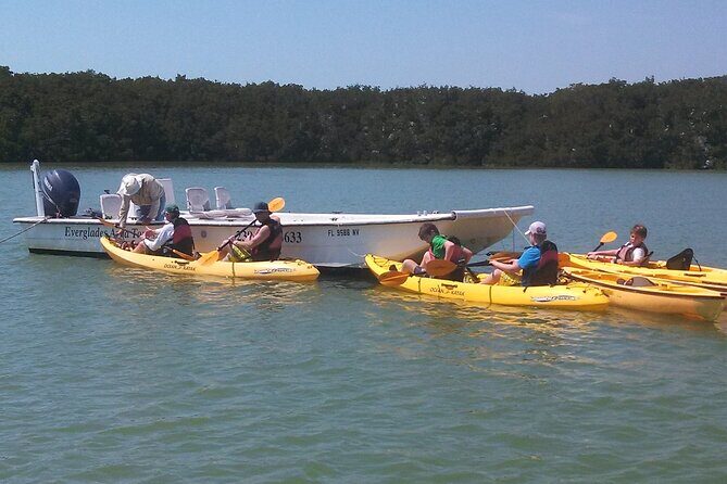 Small-Group Everglades Boating Kayaking and Walking Eco Tour - A Deep Dive Into the Experience
