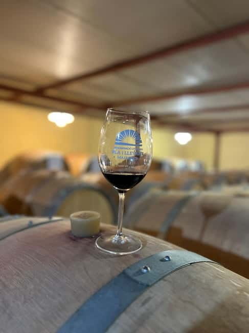 Small group- Exclusive Olive Oil & Wine Tour Mallorca - Practical Details & Tips