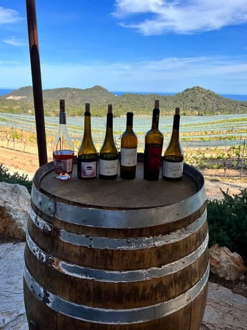 Small group- Exclusive Olive Oil & Wine Tour Mallorca - Reviews & What Travelers Say