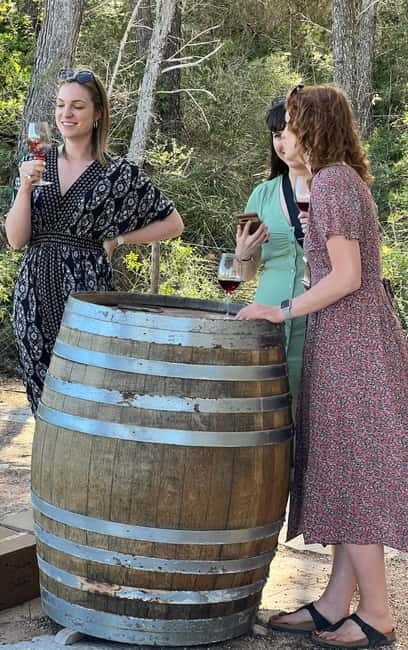 Small group- Exclusive Olive Oil & Wine Tour Mallorca - Is This Tour Right for You?